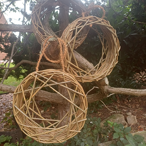 Bird Feeder Workshops